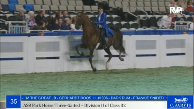 Screenshot of a rider in a blue coat on a chestnut horse.