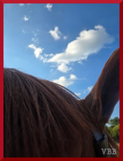 Photo of the ear and mane of a chestnut horse, with blue sky and puffy white clouds in the background