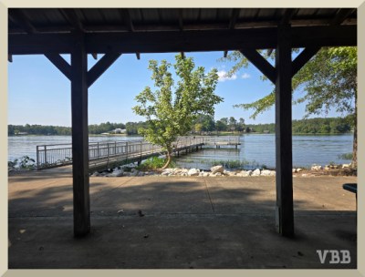 Photo of a river and fishing dock from a picnic area.