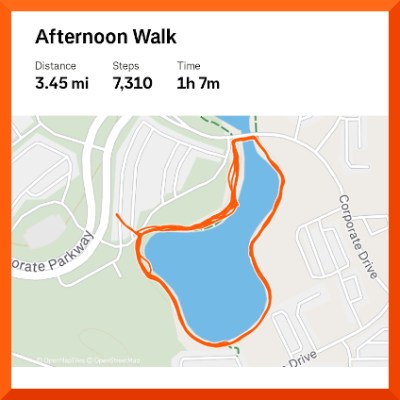Strava map of 3.45 mile walk.