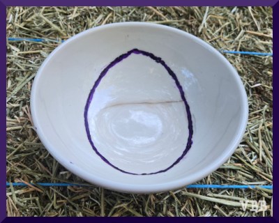 Photo of a white bowl with a mended purple crack.