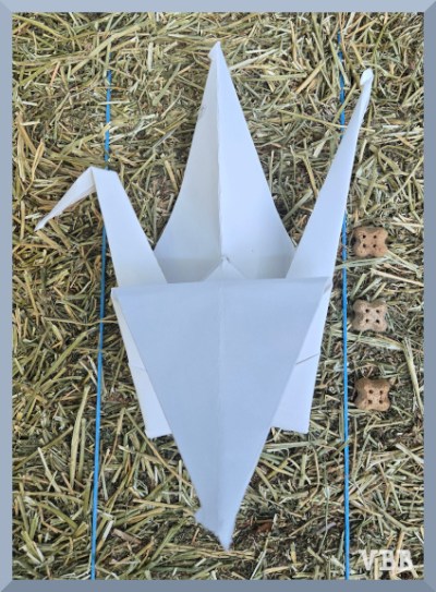 Photo of a white origami crane resting on a hale bale with three tan biscuits along the side.