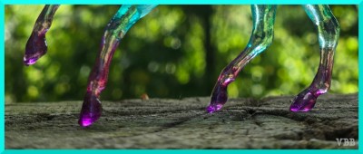 Cropped photo of the hooves of a transparent plastic model on a wooden surface with trees in the background