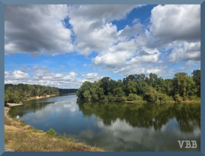 Photo of a river curve with grass and trees on foreshore and trees on far bank, with white puff clouds in sky.