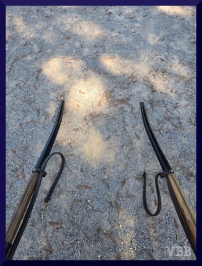 Photo of cart shafts resting on the ground.