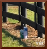 Photo of a small pile of mugs sitting at the base of a dark fence post.