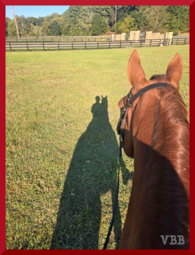 Photo between the ears from the back of a chestnut horse standing on grass, with shadow of horse and rider on the ground.