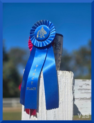 Photo of a blue horse show ribbon and a red horse show ribbon hanging on a monogrammed mug standing on a white fence post.