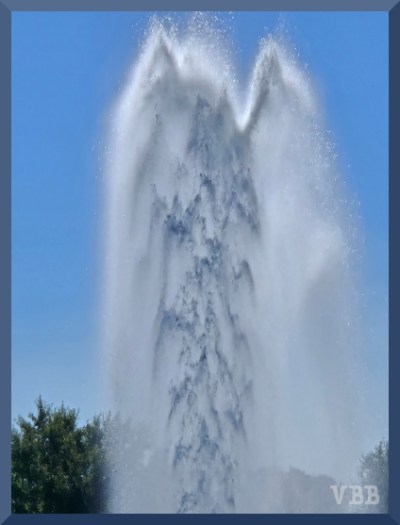Photo of a plume from a water fountain with trees in the background